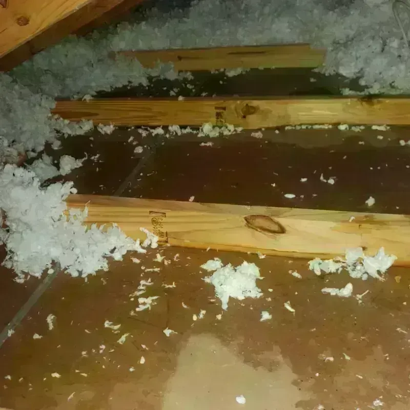 Attic Water Damage in Gypsum, CO