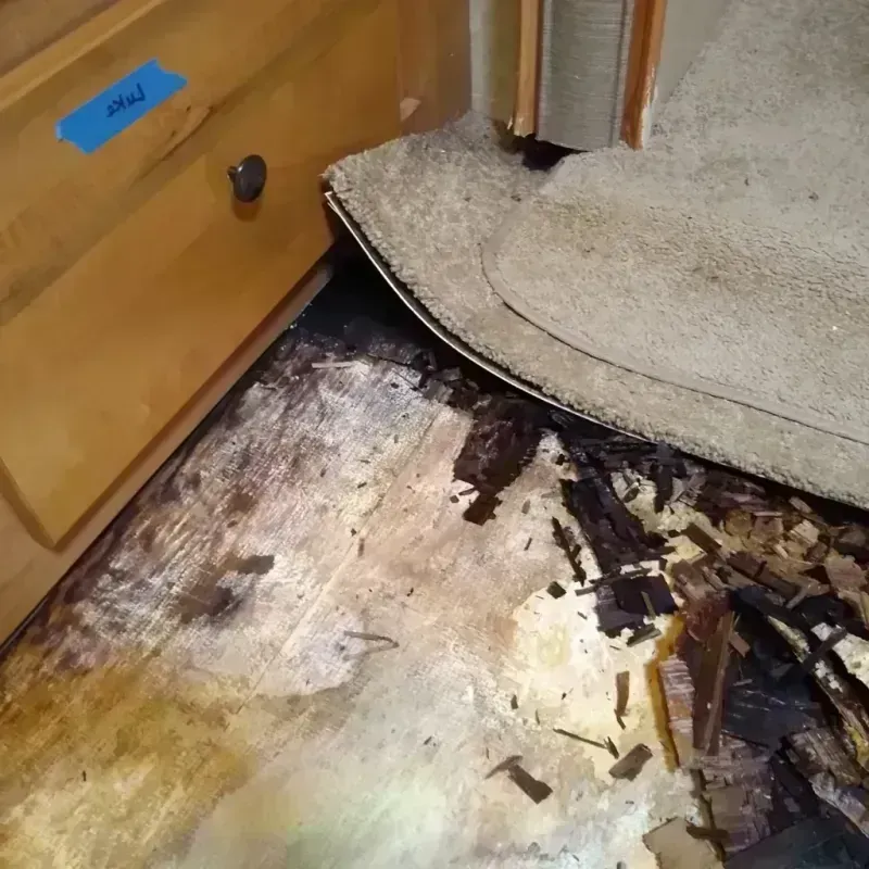 Best Wood Floor Water Damage Service in Gypsum, CO